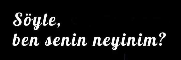 PANGS’ 🐎 banner
