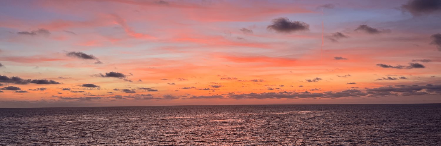 stephjarosz's profile banner image