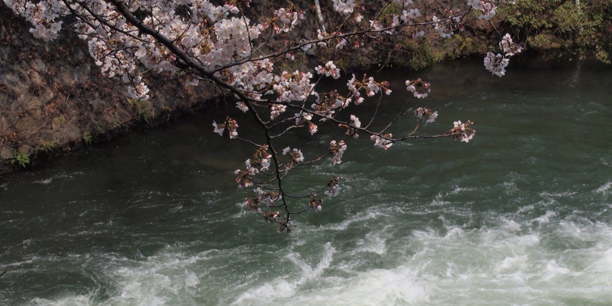 Phenmi's profile banner image
