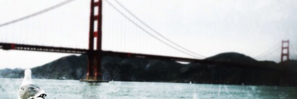 algillera Profile Banner