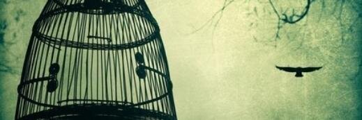 nkc banner