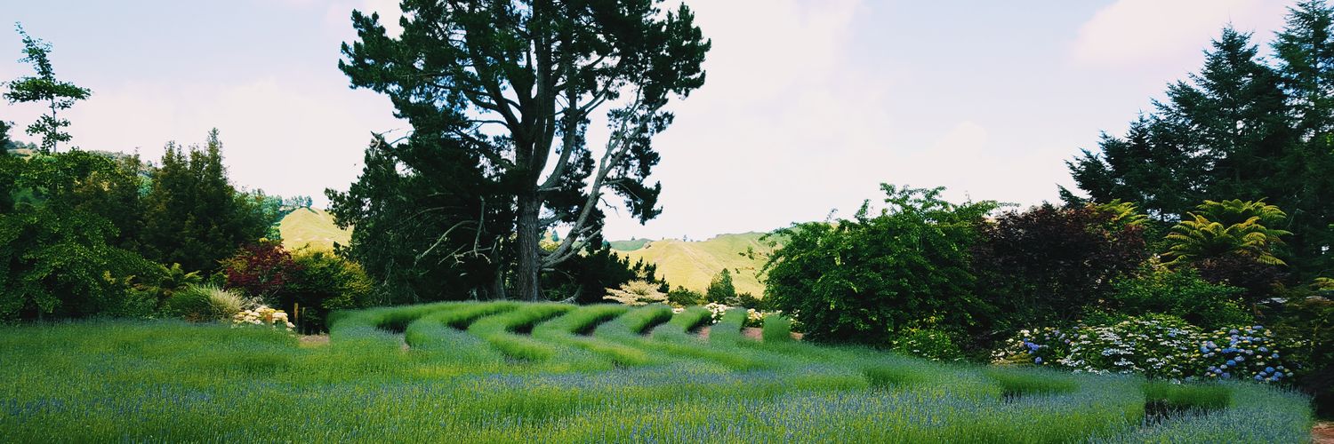 Caitlin Letcher banner