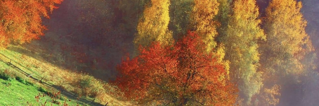 Mobusy07's profile banner image