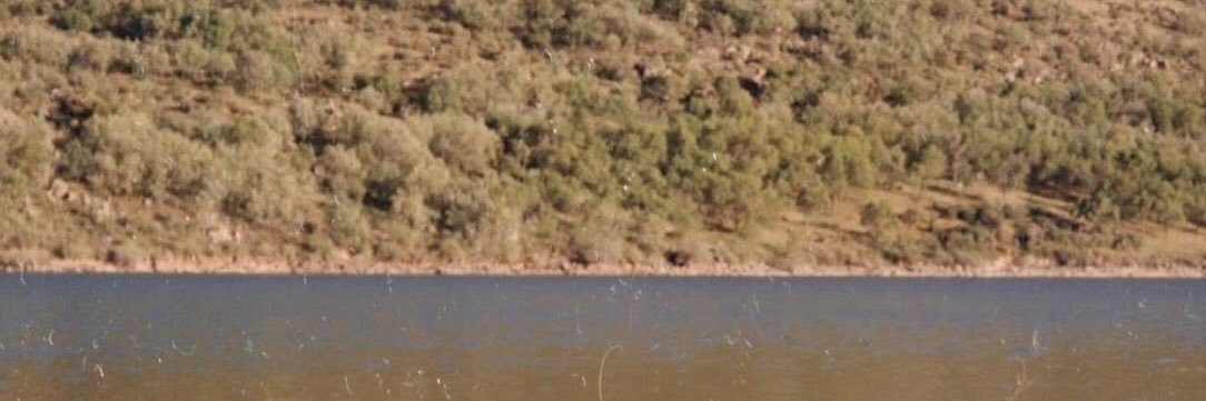 Motlogafelo's profile banner image