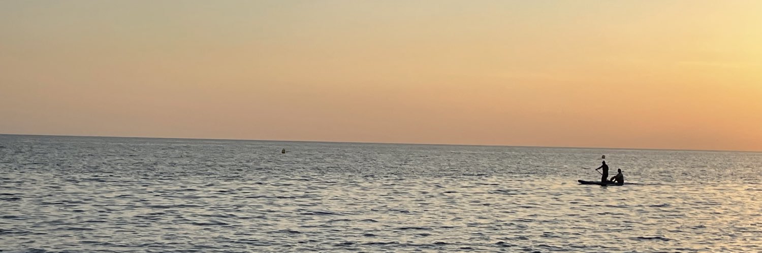 PedroPupillo's profile banner image