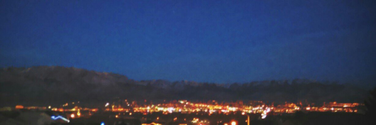 Checkerz Vixen banner