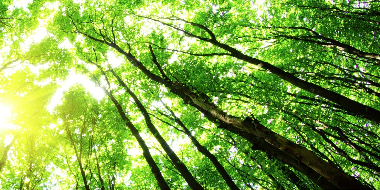 WebuEnvironment's profile banner image