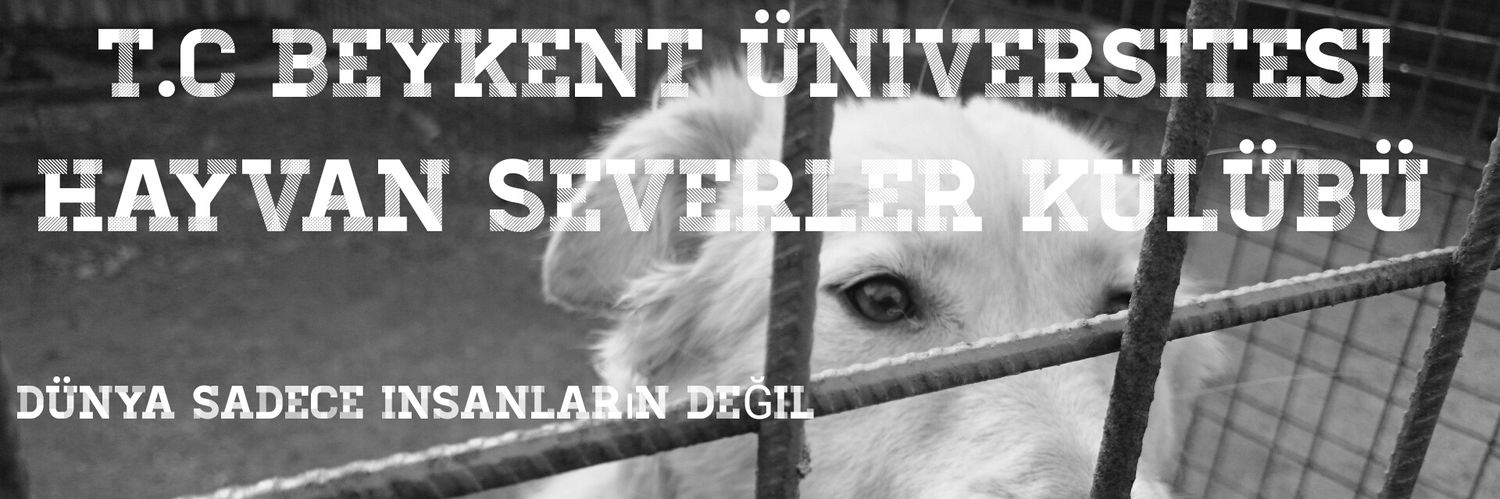 byknthyvnsvrler's profile banner image