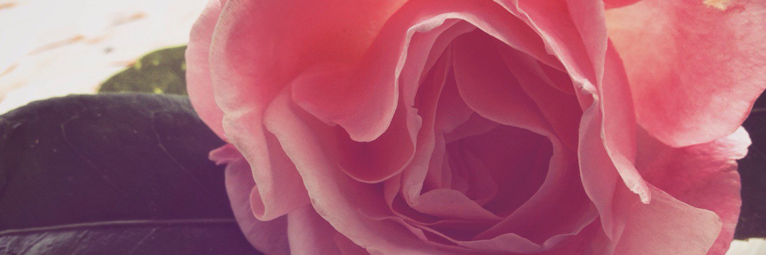 Jaken491's profile banner image