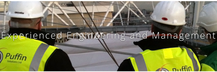 Puffin Solutions banner