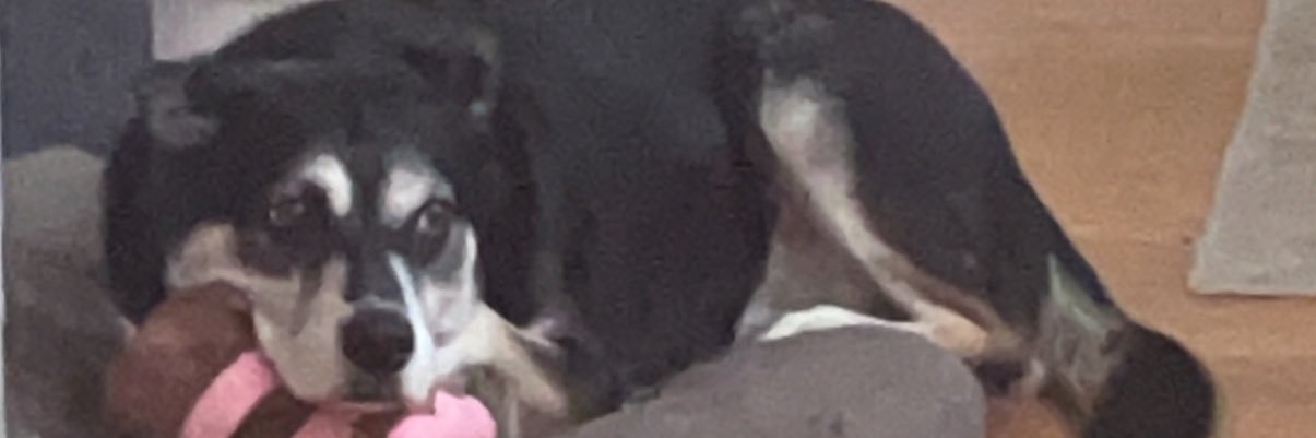 JimmyBob_A's profile banner image