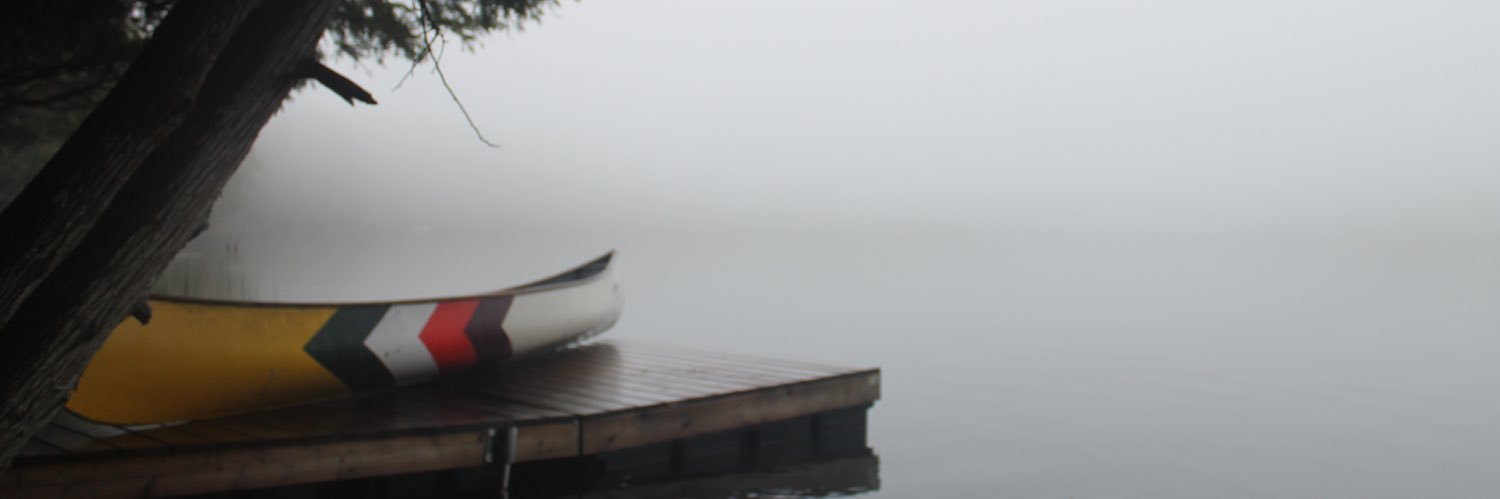 roxylangemann's profile banner image