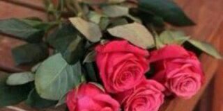 mnala1234's profile banner image