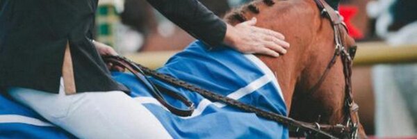ProEquest Profile Banner