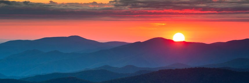 Todd Presnell banner