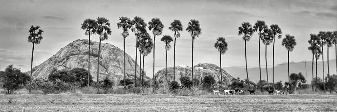 dhandaa75's profile banner image