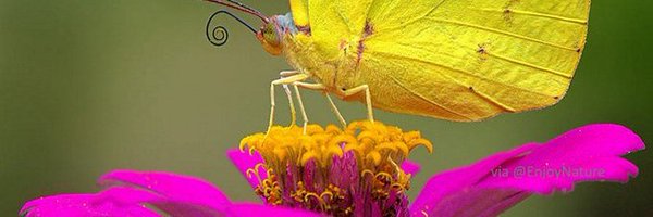 7Tommic Profile Banner