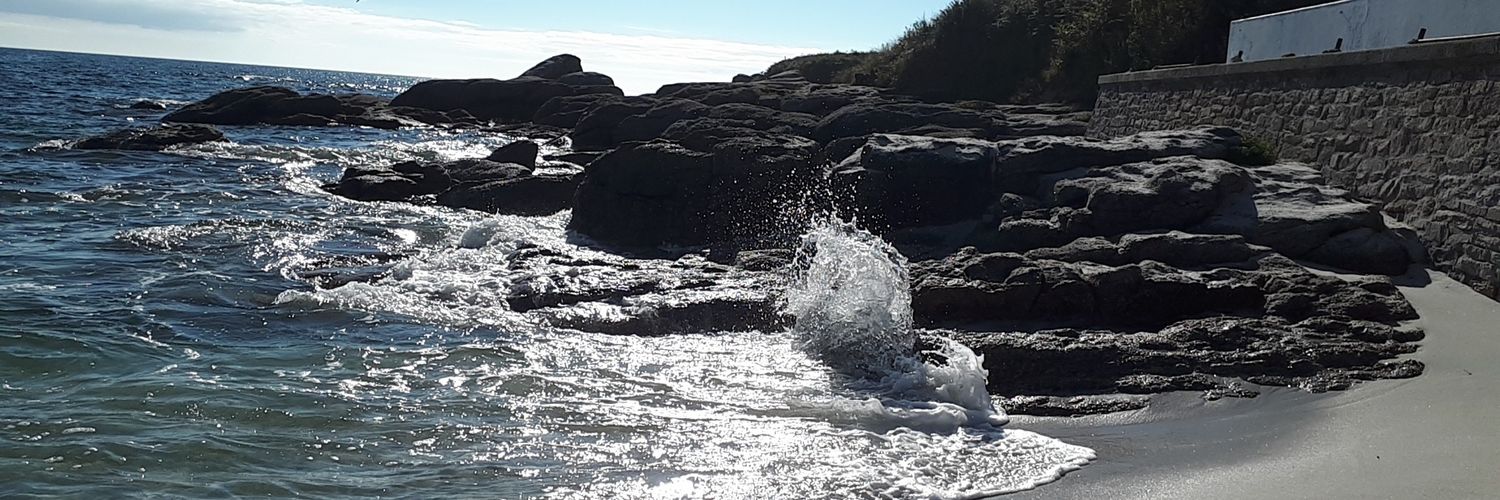 PauliineMP's profile banner image