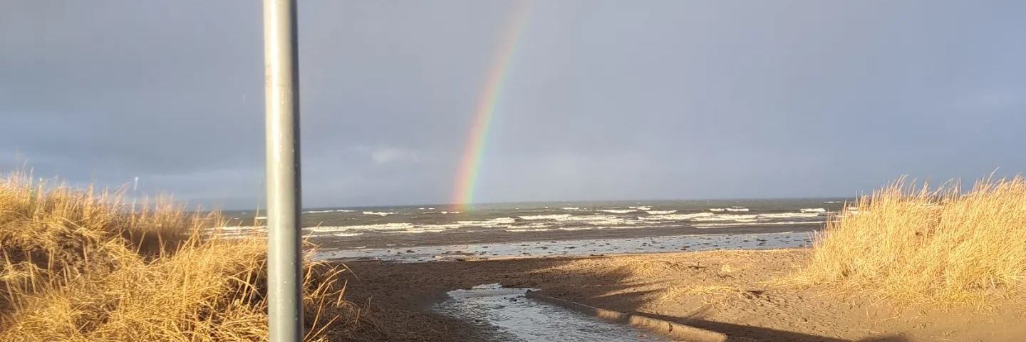 Debbie1311's profile banner image