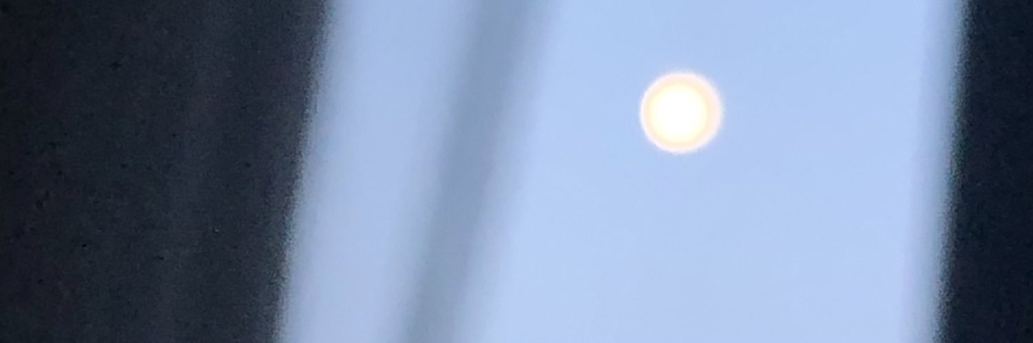 Tiburonsin16's profile banner image