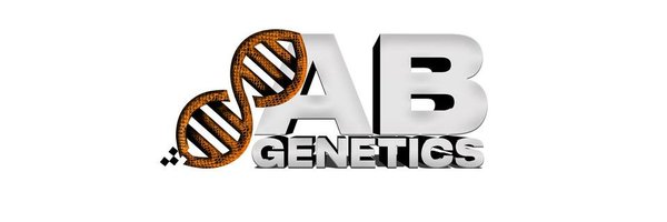 BryanEggleton Profile Banner