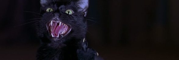 pirertiago's profile banner image