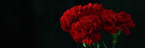 dooda___'s profile banner image