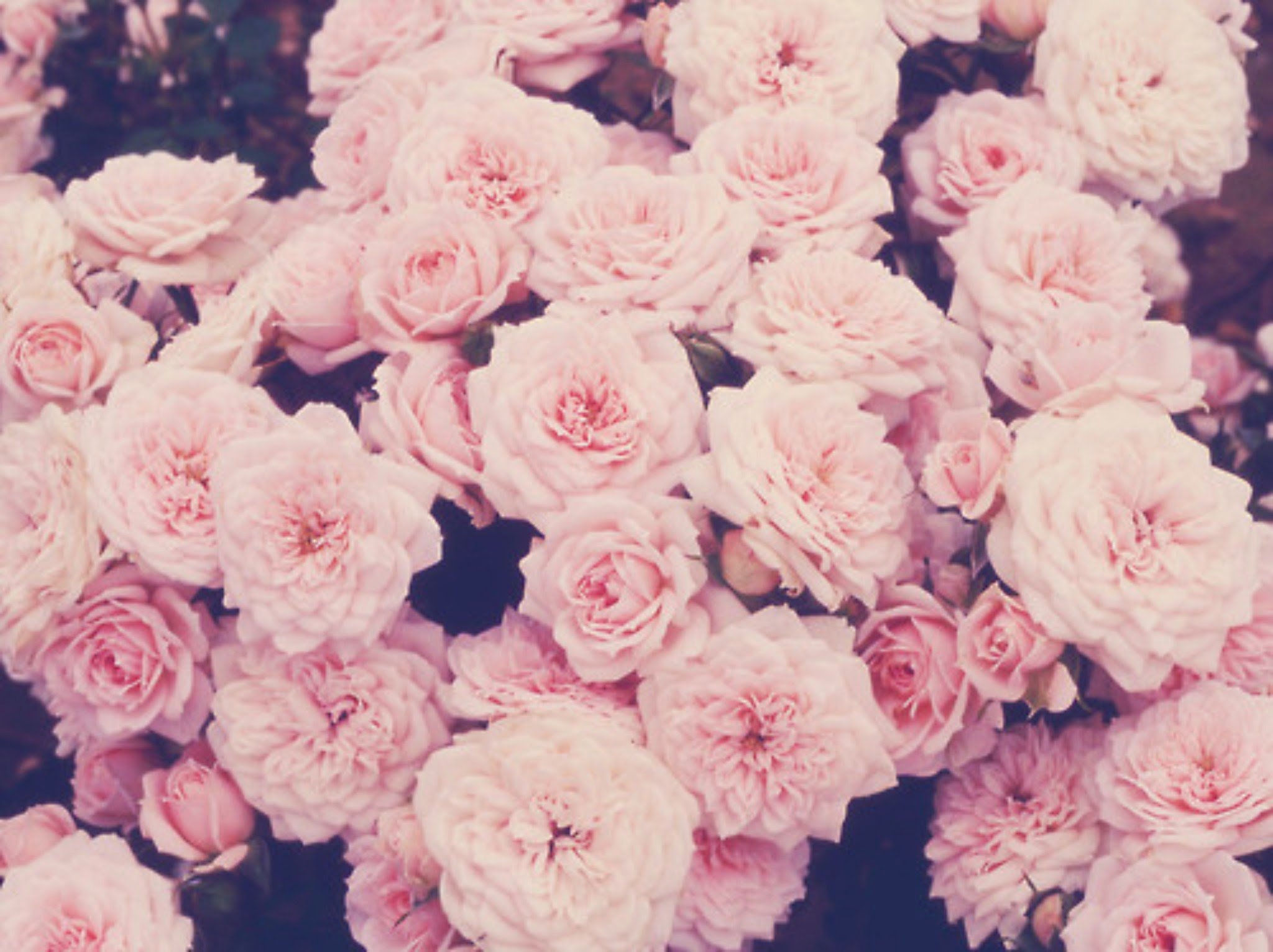 katya_e28's profile banner image