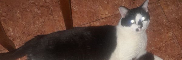 caritoxmadd Profile Banner