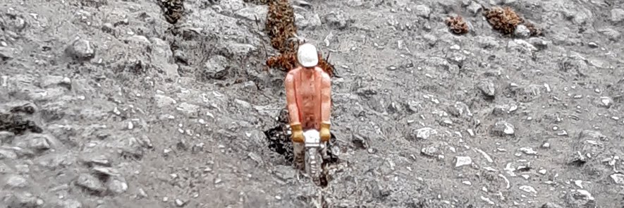 Chris van Langen banner