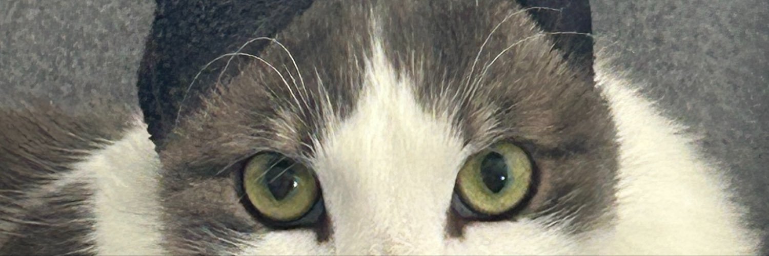 MaxMcbosss's profile banner image