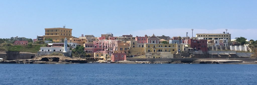 elicottera's profile banner image