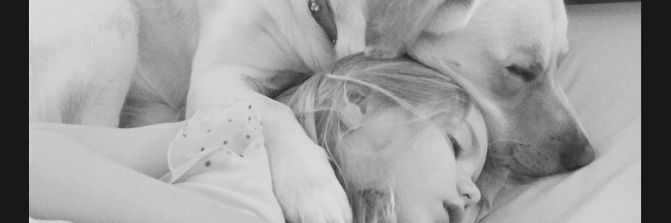 CathLowery's profile banner image