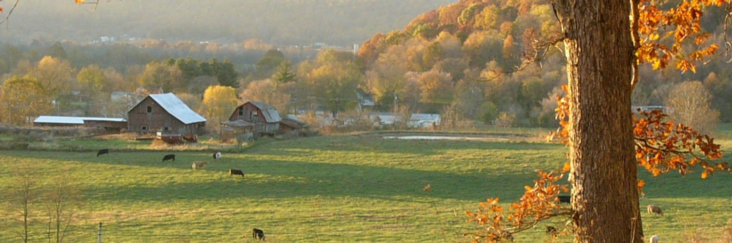 gosteinergo's profile banner image