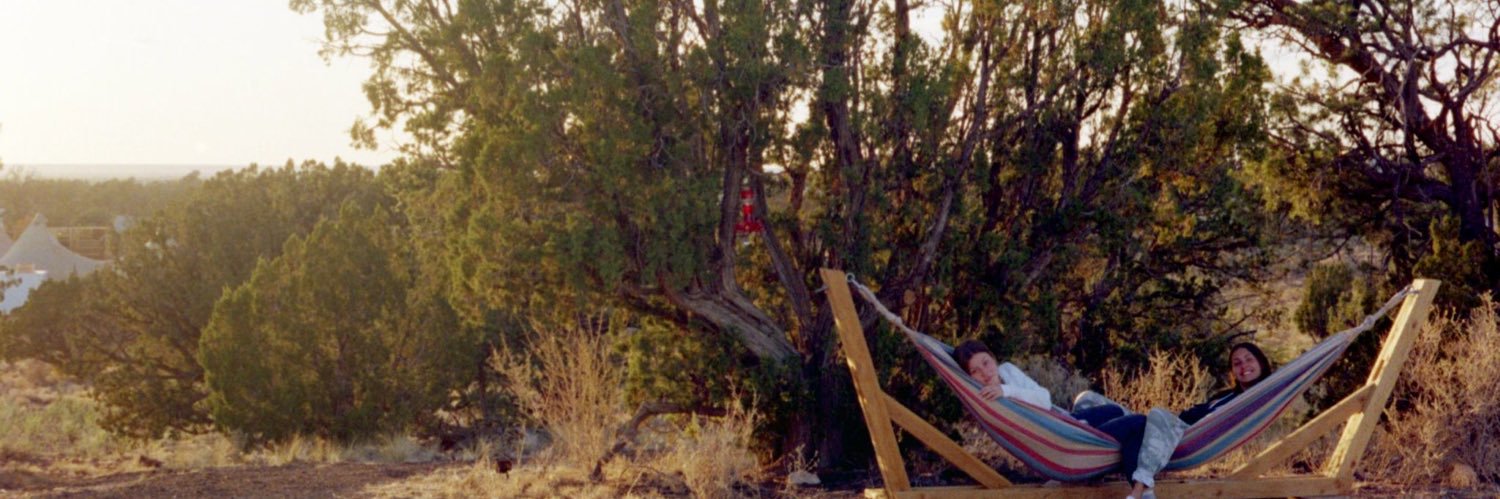 mollybreslow's profile banner image