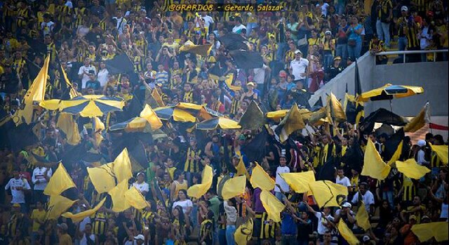 Daniel Parada 74 banner