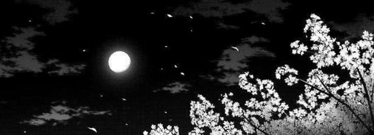 lightlunnaa48's profile banner image
