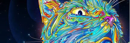 nerminnvarol's profile banner image