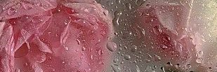 5gev0's profile banner image