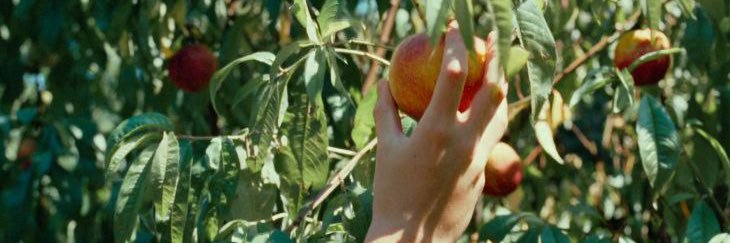 charles ❤️‍🔥 banner