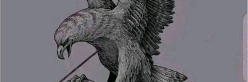 lacemose's profile banner image