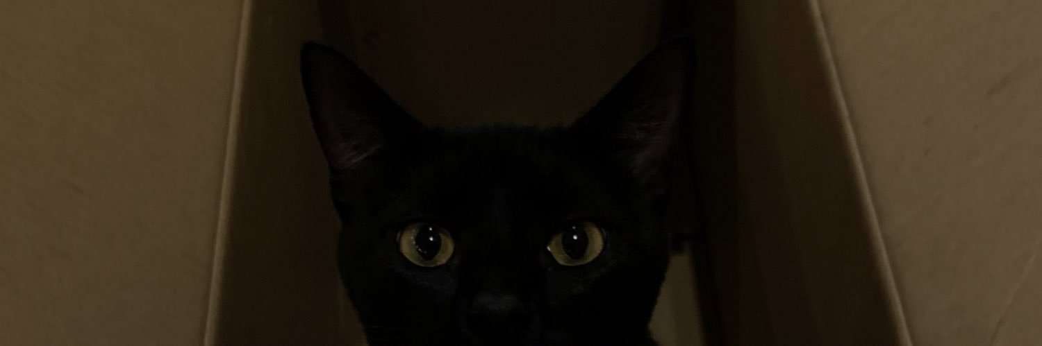 sofianahirr's profile banner image