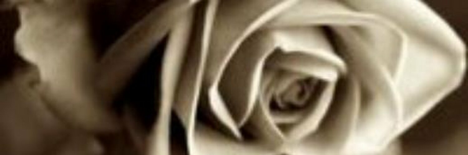 Lady3times's profile banner image