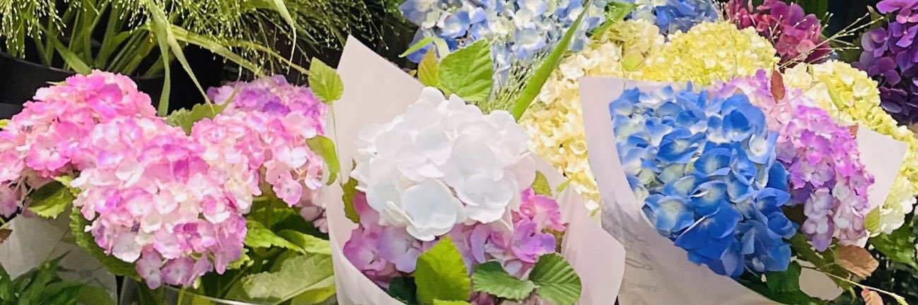 02O_7's profile banner image