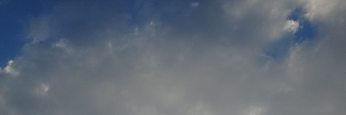 mvdtskd's profile banner image