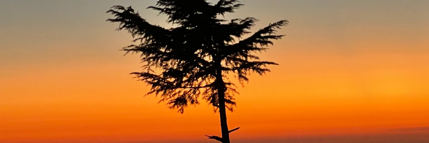 SanjayJha's profile banner image