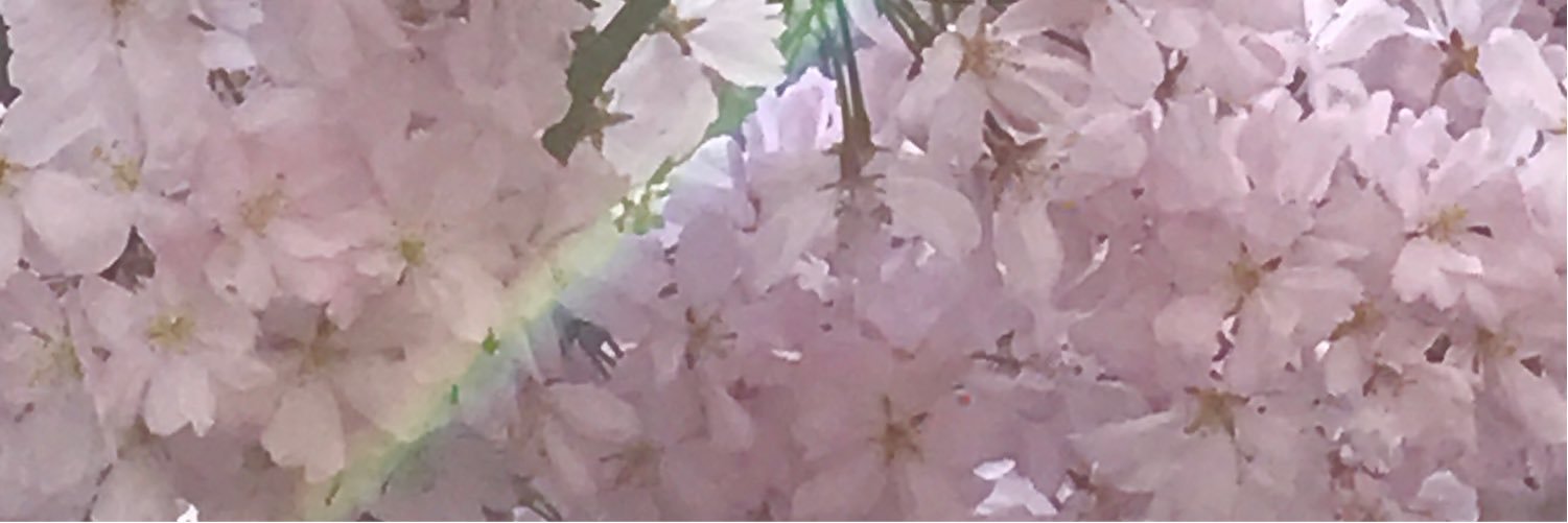 Reaf_e_e_'s profile banner image