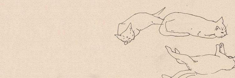 beryl ⎊ 🇵🇸 banner