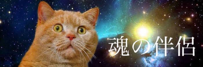 iozqay's profile banner image