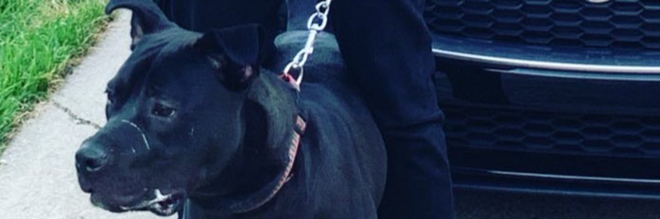 _ChrisCash's profile banner image